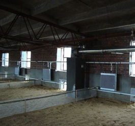 供应新型养殖锅炉 养殖水暖锅炉