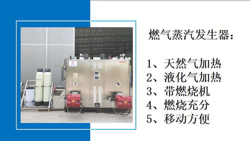 天然气产蒸汽设备 门头店面供暖用蒸汽发生器