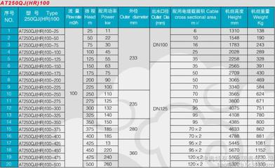 【津奥特250QJR型100方流量温泉热水泵_4寸口径耐高温潜水泵_变频】价格_厂家_图片 -