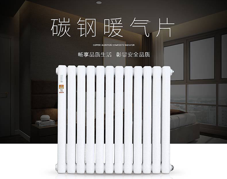 暖气片家用集中供热壁挂式碳钢双柱加厚防腐承压式集体供暖土暖气