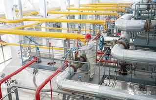 今天北京统一启动试供暖 你家温度达标了吗