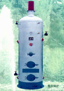 全面了解采暖锅炉 从家庭到企业的供暖选择